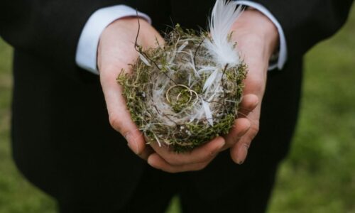 Obrączki w ptasim gniazdku przed ślubem w plenerze w Dębowym Lesie w Elżbiecinie pod Łomżą